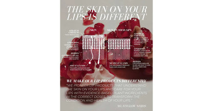 Fitglow Lip Colour Serum - Dahlia (10g)